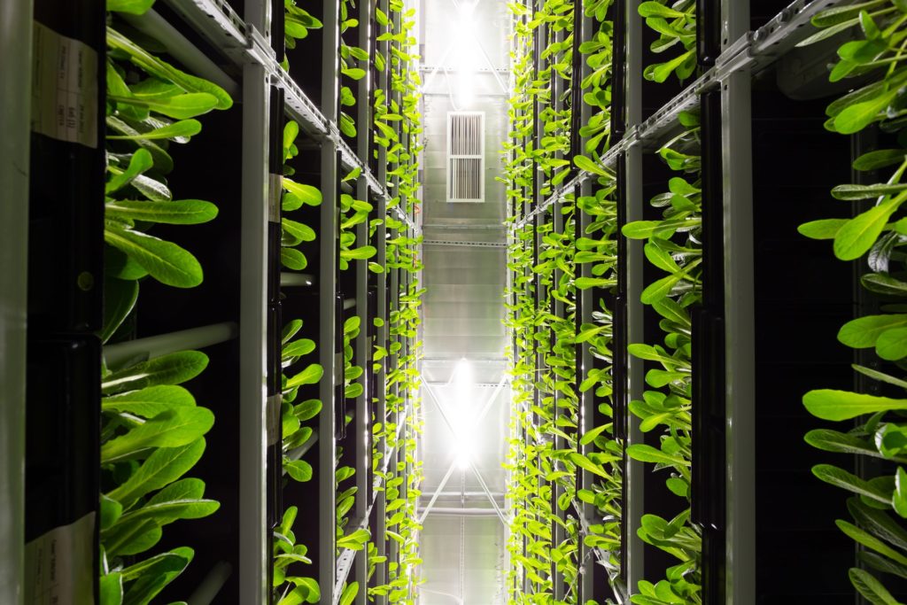 Vertical Farming on the Horizon
