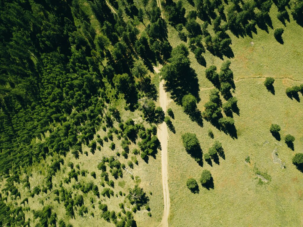 Carbon Offsets Enable Companies to Invest in the Environment