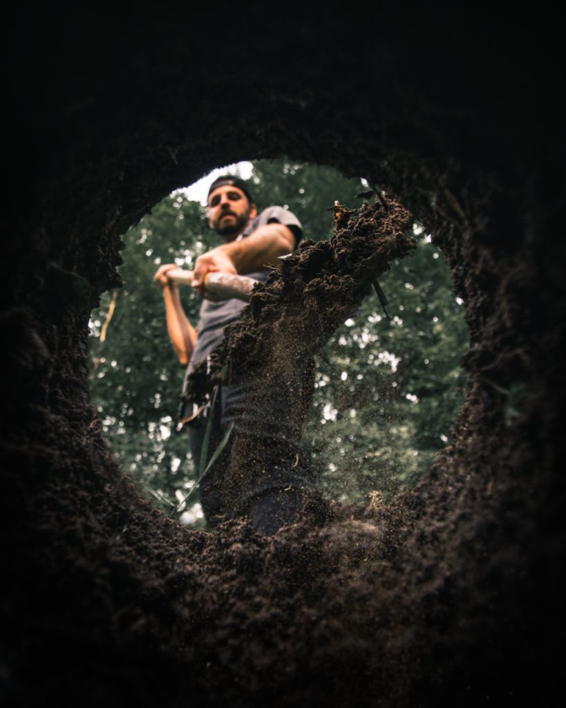 A Call That Reveals Modern Roots
