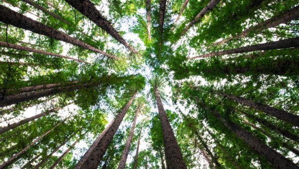 climate innovation