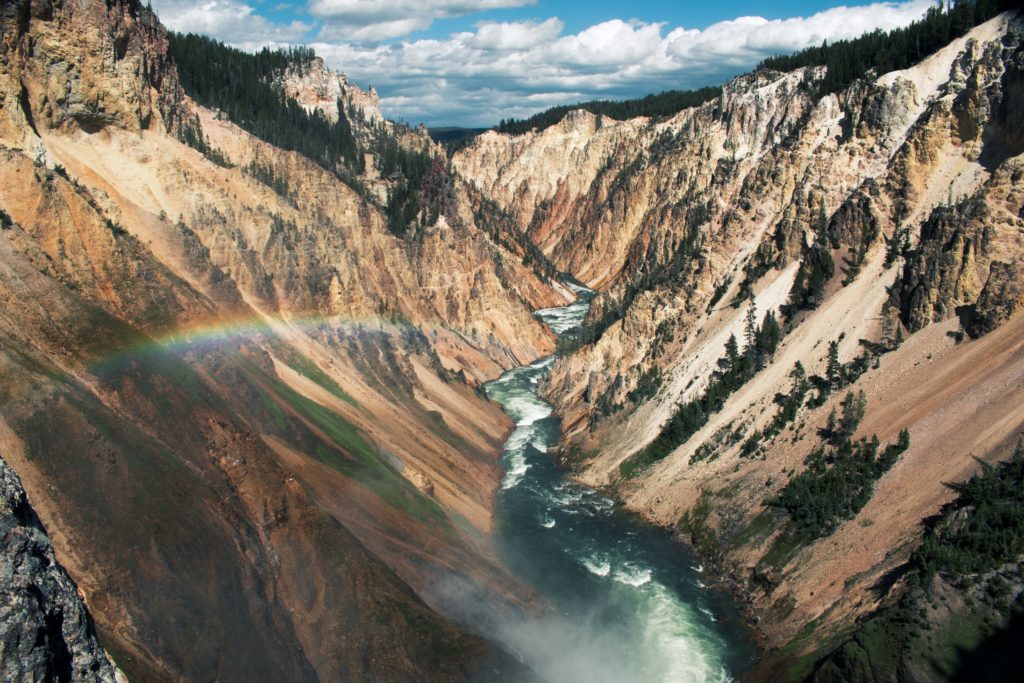 Yellowstone: Rebuilding After the Flood