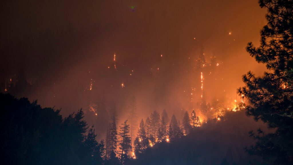 An NTSB for Natural Disasters?