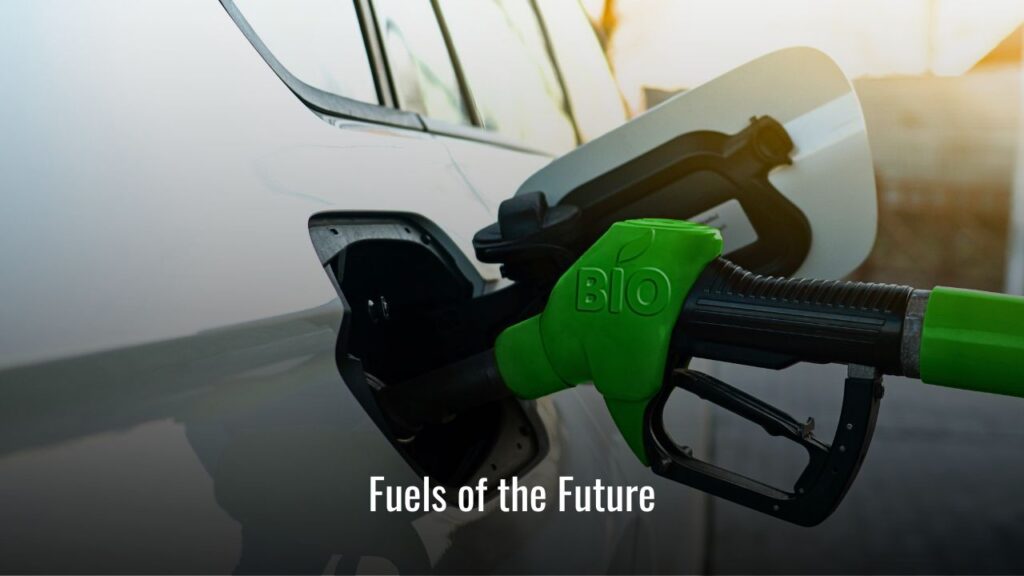 biodiesel on the roads