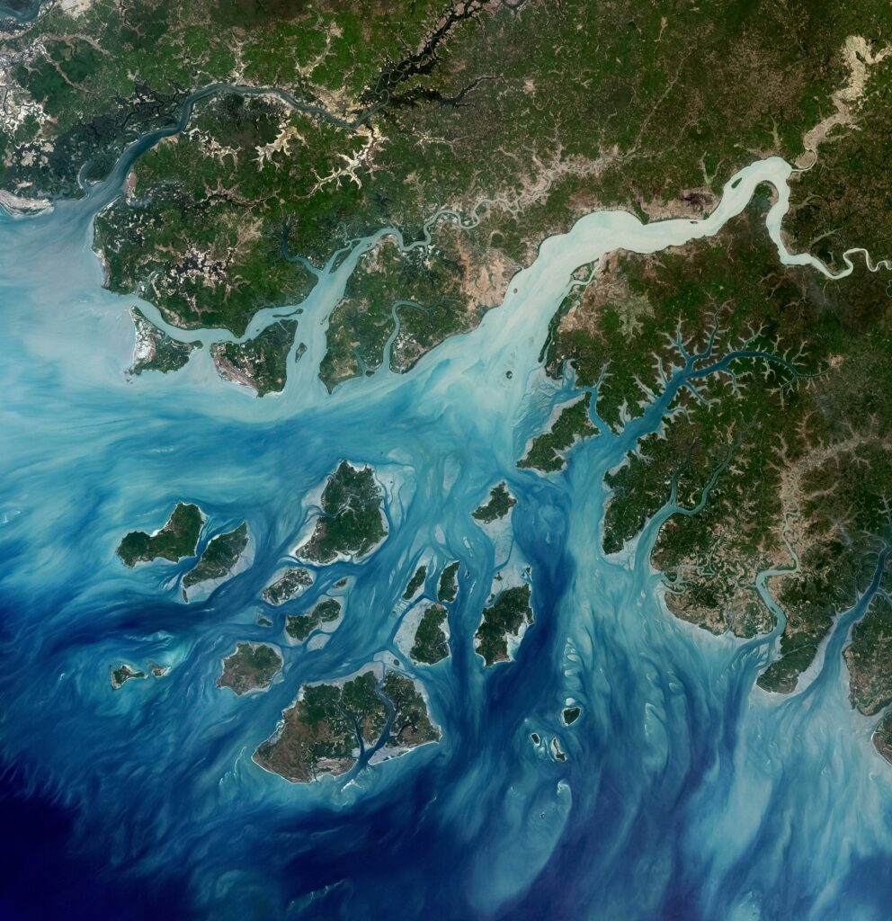 On the Preservation of Species: Protecting Natural Infrastructure